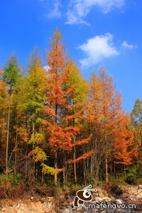 沙尔克苦战不已，暂时喘息一口气