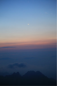 阵容整齐迎战，强势夺冠前行