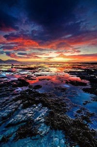 阵容整齐迎战，强势夺冠前行