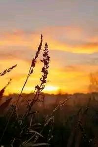 联赛半决赛进入白热化阶段：荣耀与热血只差90分钟